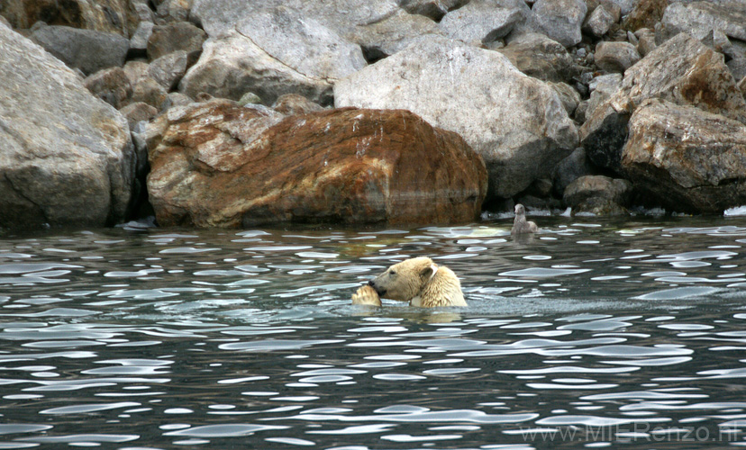 20100902190857 Spitsbergen - Holmiabukta - Gevonden!