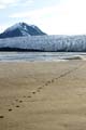 20100831122832 Spitsbergen - Engelsk bukta