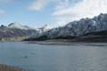 20100831125442 Spitsbergen - Engelsk bukta - zeehonden