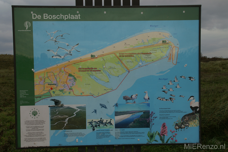(21) Met Kees en Tineke de Boschplaat lopen!