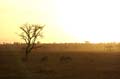 dag21_20051001A (04)